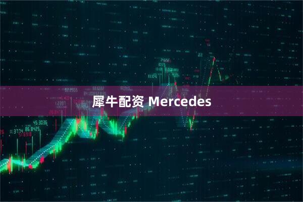犀牛配资 Mercedes