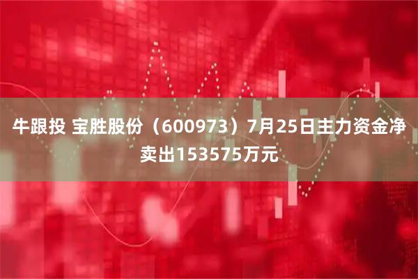 牛跟投 宝胜股份(600973)7月25日主力资金净卖出153575万元