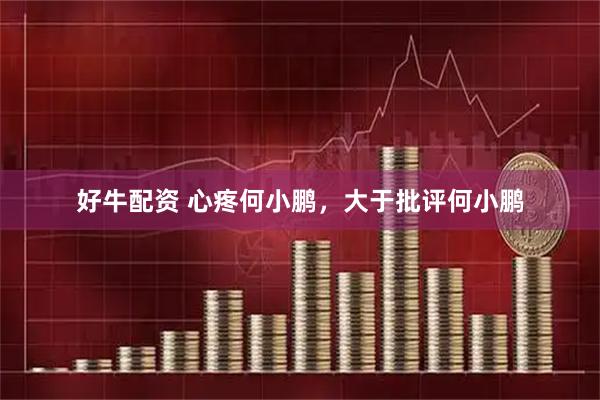 好牛配资 心疼何小鹏，大于批评何小鹏